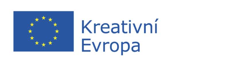 Evropský program podpořil v roce 2024 desítky organizací