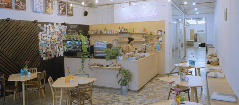 Co chystá Dům nacucky?